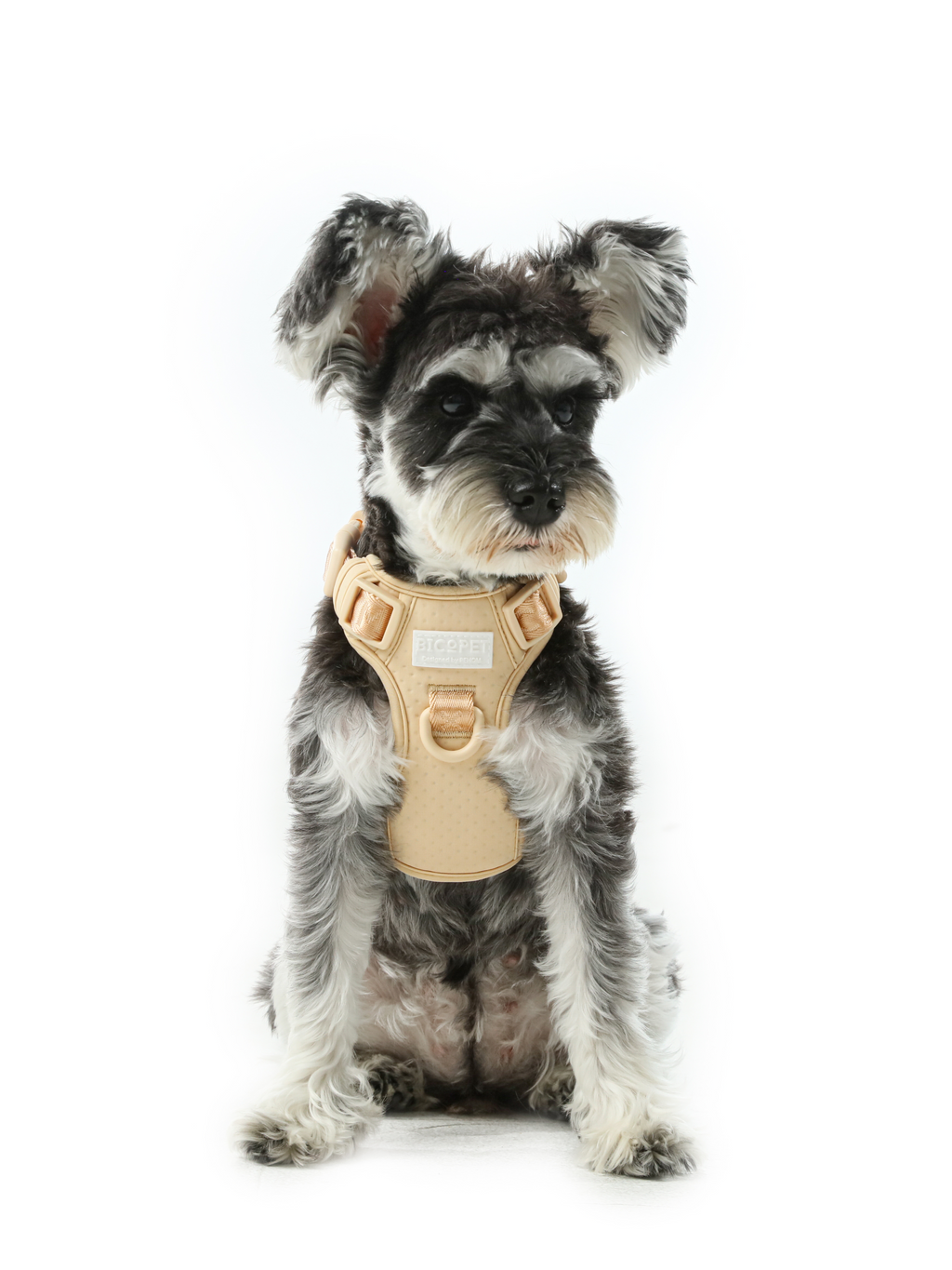 No-Pull Active Pet Harness — Breathable, Adjustable Dog Harness with Dual Buckle & Anti-Pull Rings