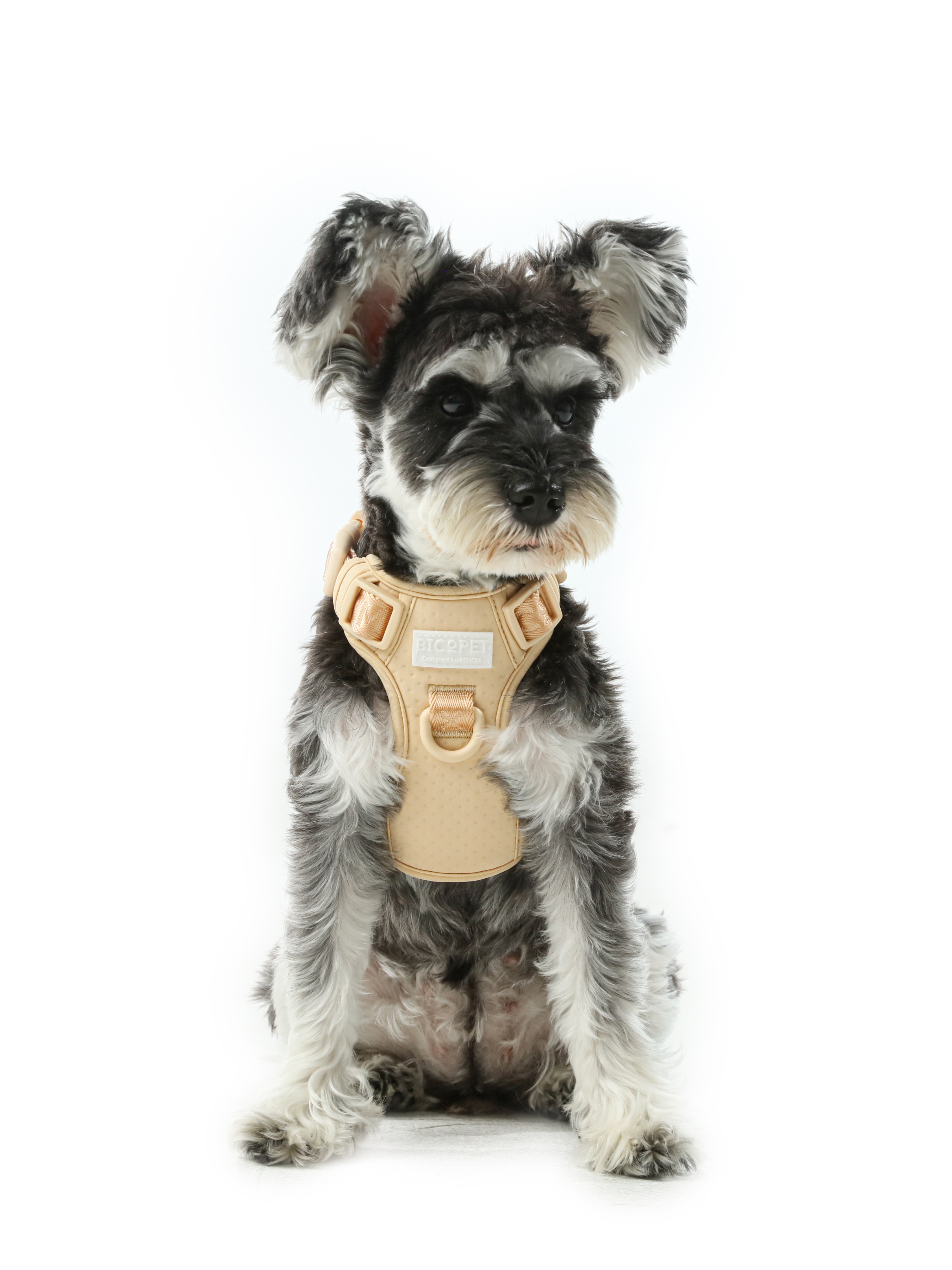 No-Pull Active Pet Harness — Breathable, Adjustable Dog Harness with Dual Buckle & Anti-Pull Rings