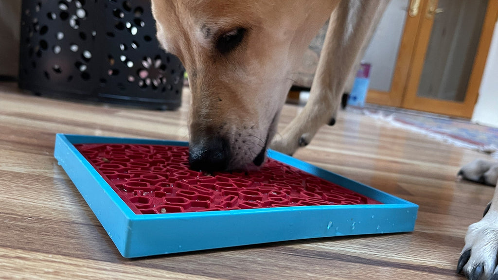 SodaPup Vino Dog eMat — Wine-Inspired Enrichment Lick Mat for Dogs & Cats