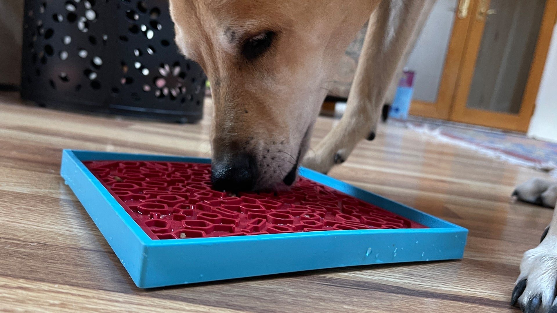 SodaPup Vino Dog eMat — Wine-Inspired Enrichment Lick Mat for Dogs & Cats