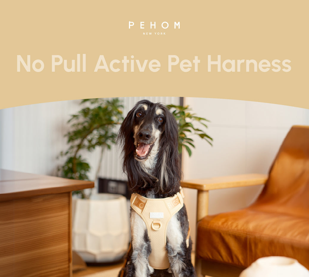 No-Pull Active Pet Harness — Breathable, Adjustable Dog Harness with Dual Buckle & Anti-Pull Rings