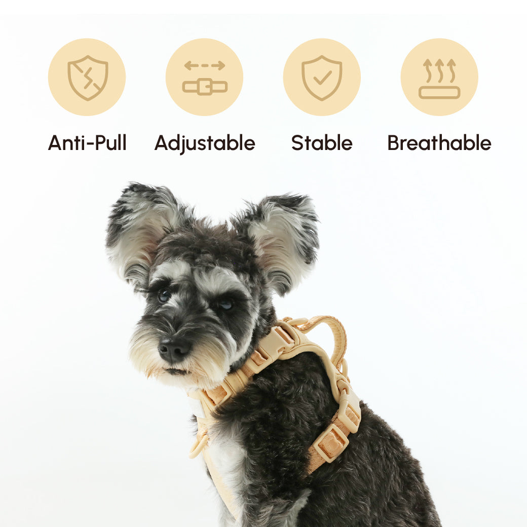 No-Pull Active Pet Harness — Breathable, Adjustable Dog Harness with Dual Buckle & Anti-Pull Rings