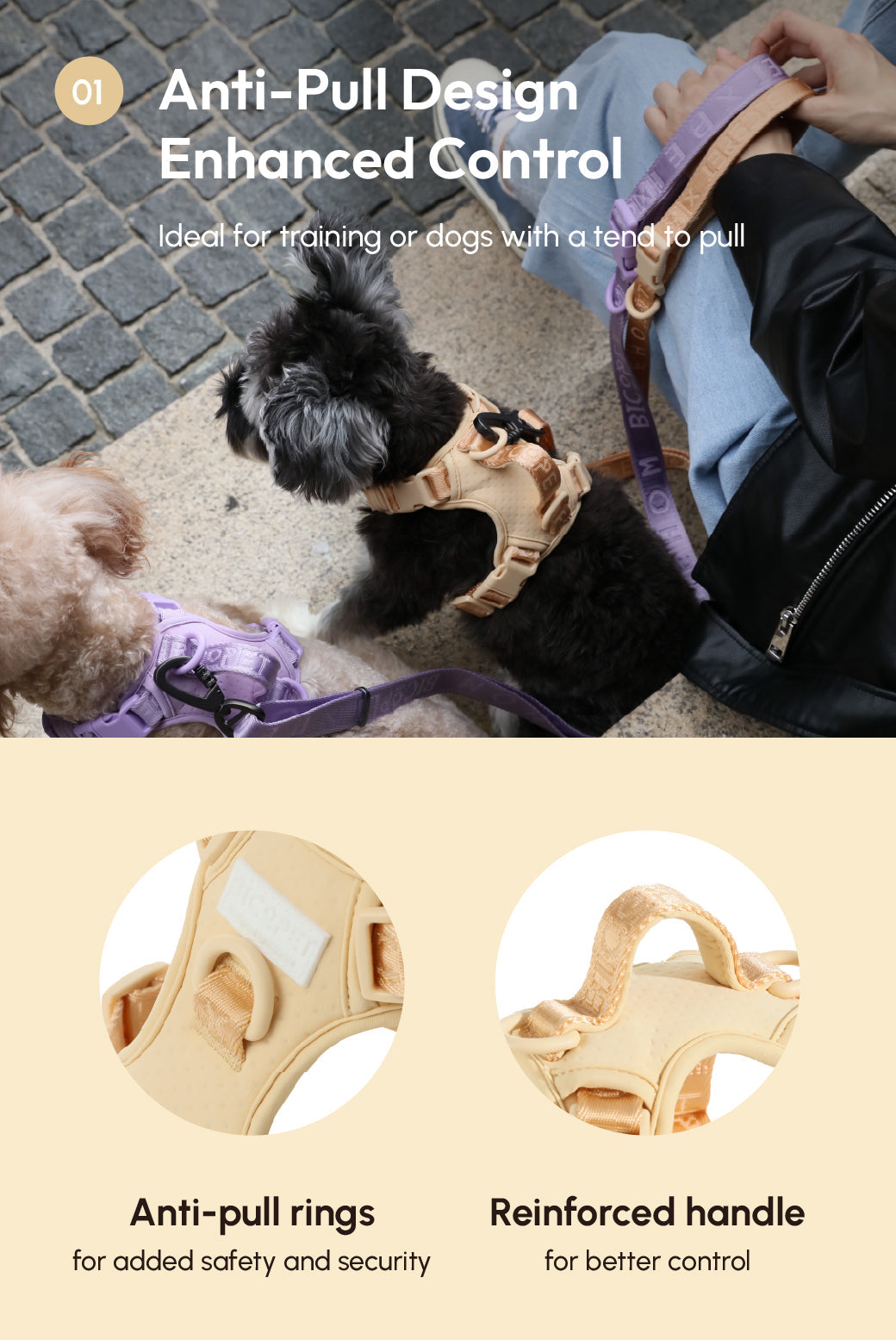 No-Pull Active Pet Harness — Breathable, Adjustable Dog Harness with Dual Buckle & Anti-Pull Rings