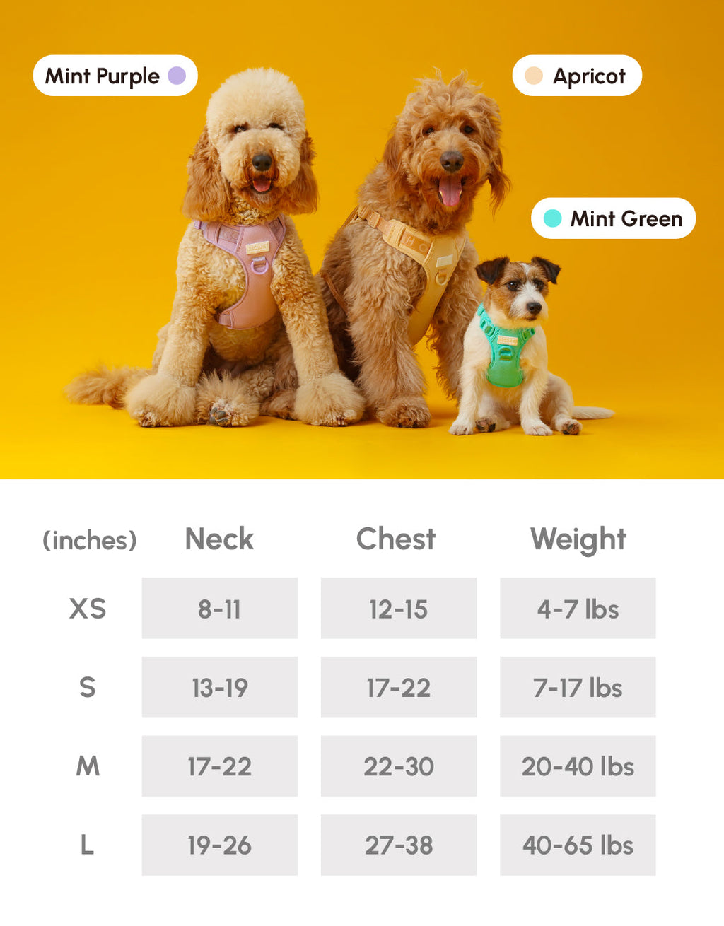 No-Pull Active Pet Harness — Breathable, Adjustable Dog Harness with Dual Buckle & Anti-Pull Rings