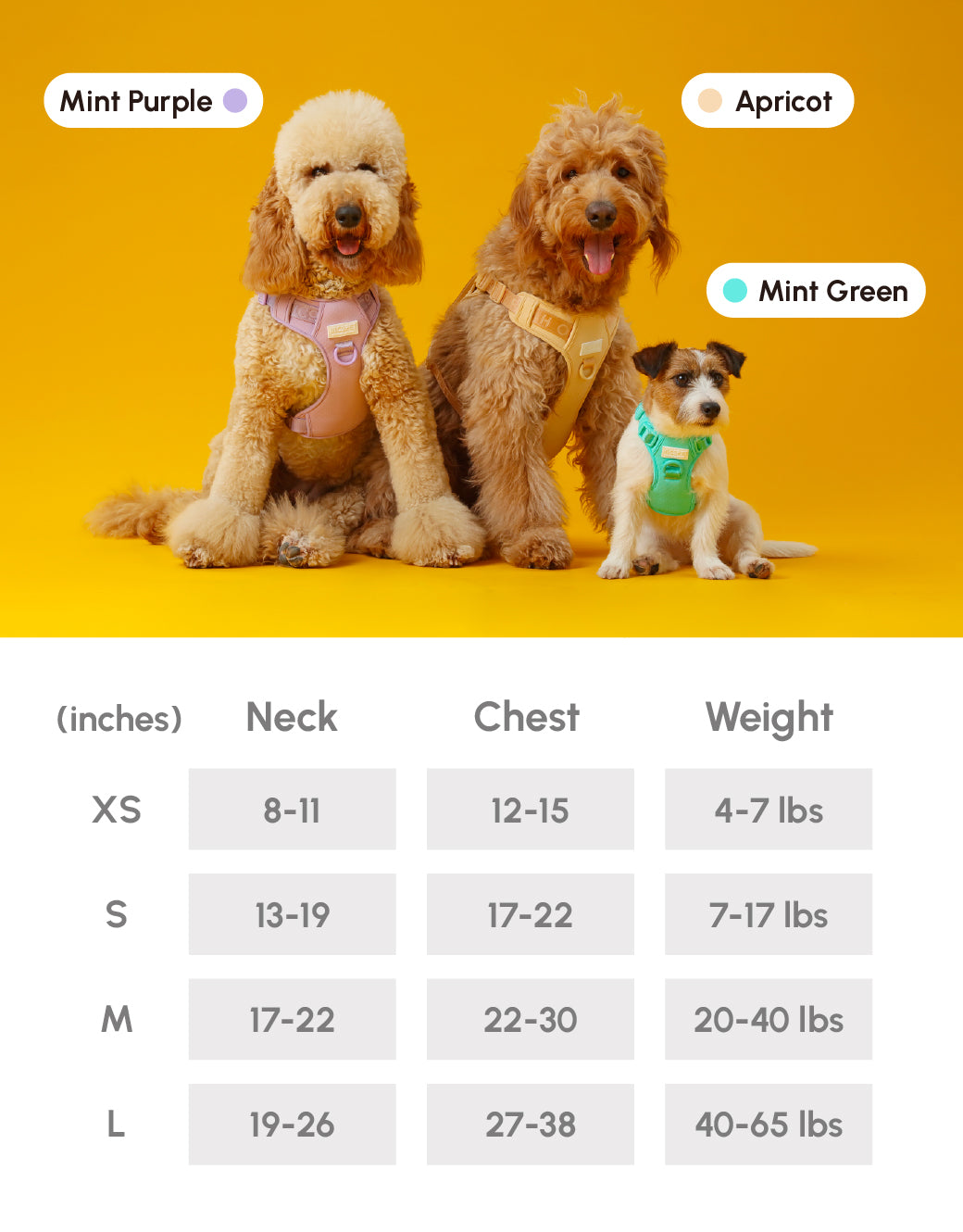 No-Pull Active Pet Harness — Breathable, Adjustable Dog Harness with Dual Buckle & Anti-Pull Rings