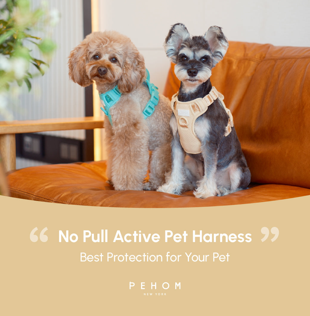 No-Pull Active Pet Harness — Breathable, Adjustable Dog Harness with Dual Buckle & Anti-Pull Rings
