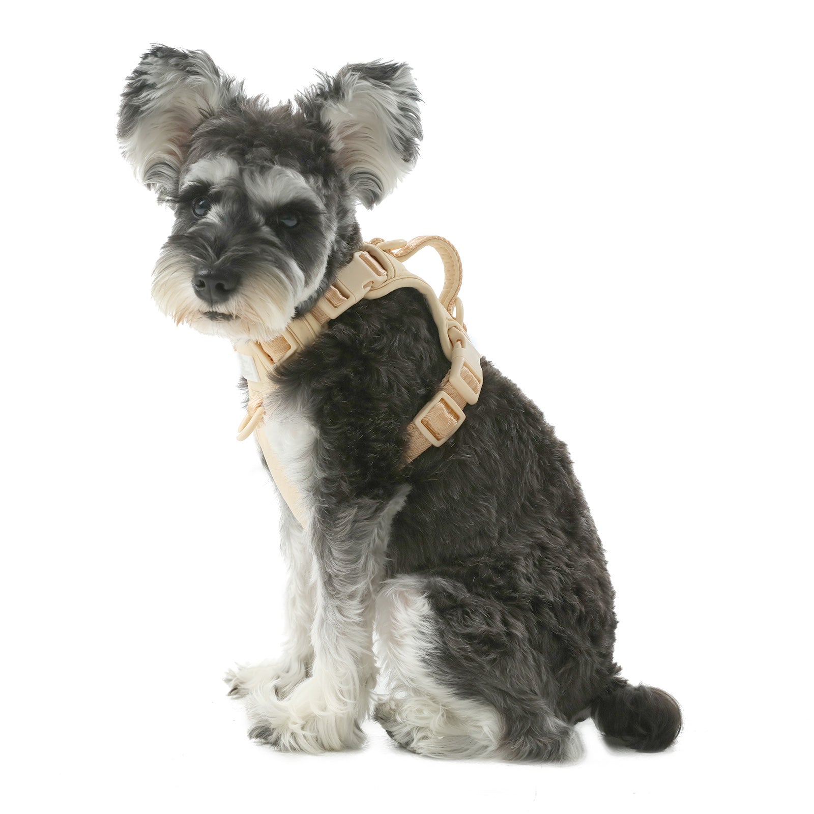 No-Pull Active Pet Harness — Breathable, Adjustable Dog Harness with Dual Buckle & Anti-Pull Rings