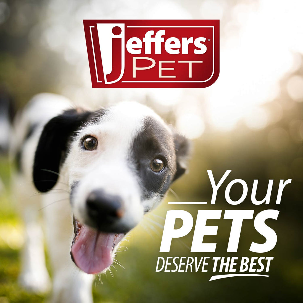 Jeffers Red Orbits Ball — Natural Rubber Treat-Dispensing Dog Chew Toy
